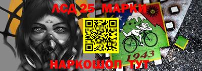 стаф Краснодар